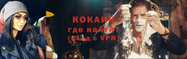 PSILOCYBIN Верхний Тагил