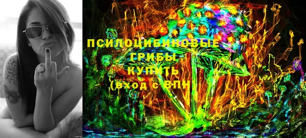 PSILOCYBIN Верхний Тагил
