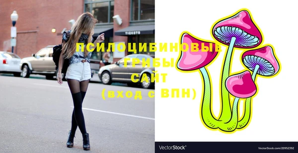 PSILOCYBIN Верхний Тагил