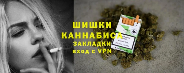 PSILOCYBIN Верхний Тагил